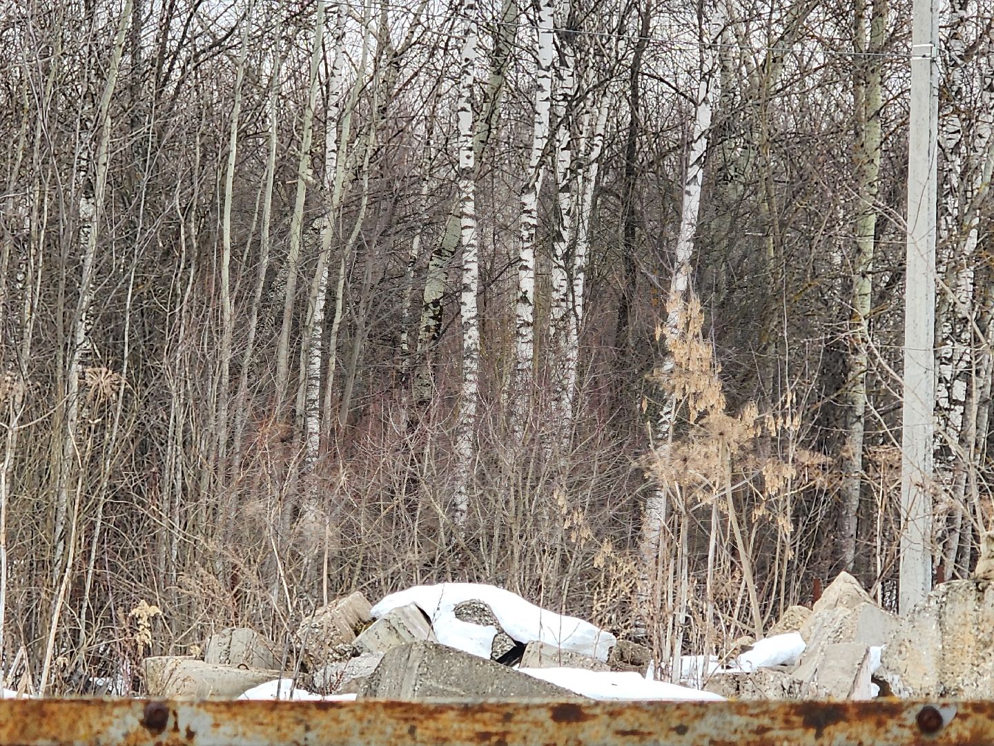 выездная администрация,