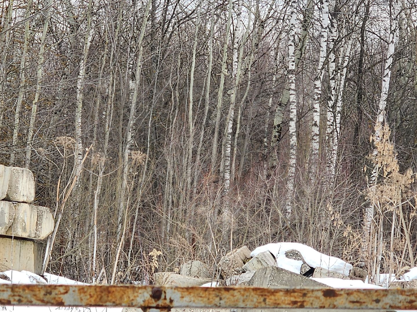 выездная администрация,