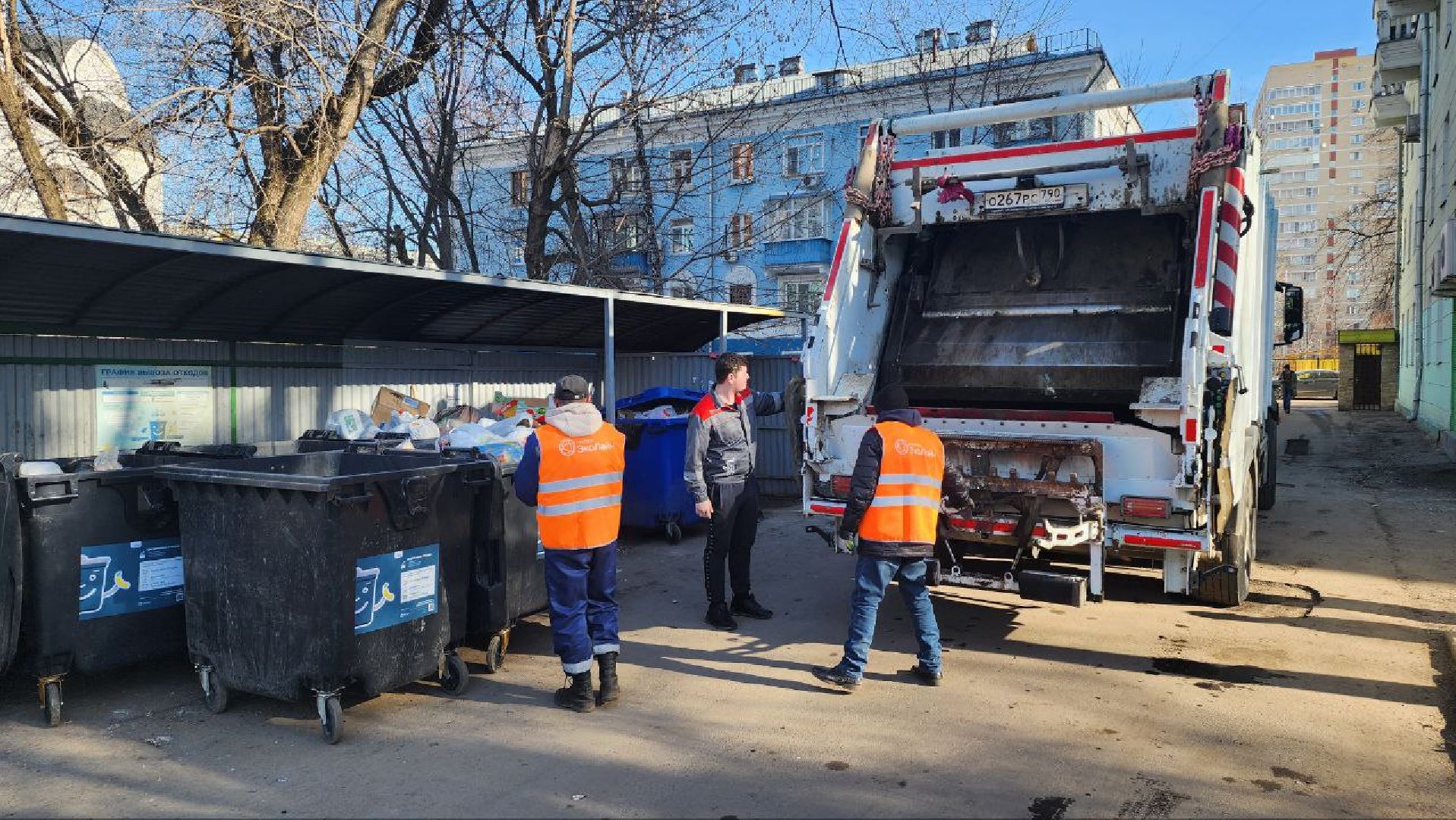 Люберцы, вывоз мусора, контейнерная площадка,