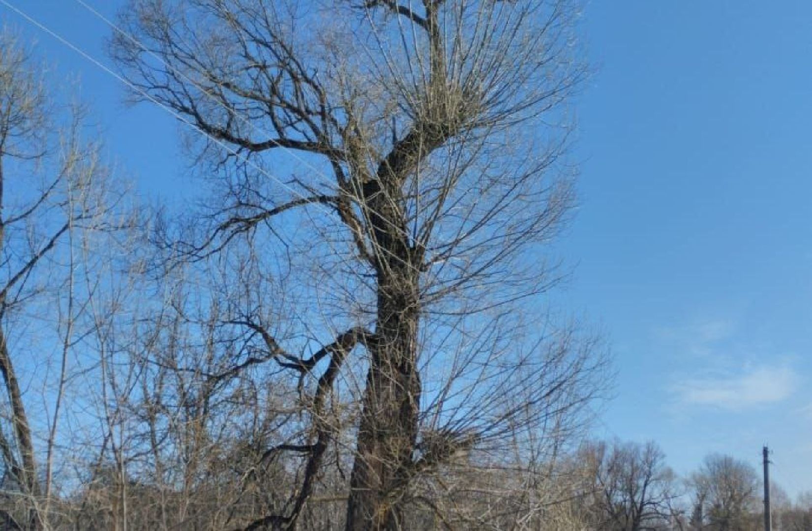 выездная администрация, орехово-зуевский округ,