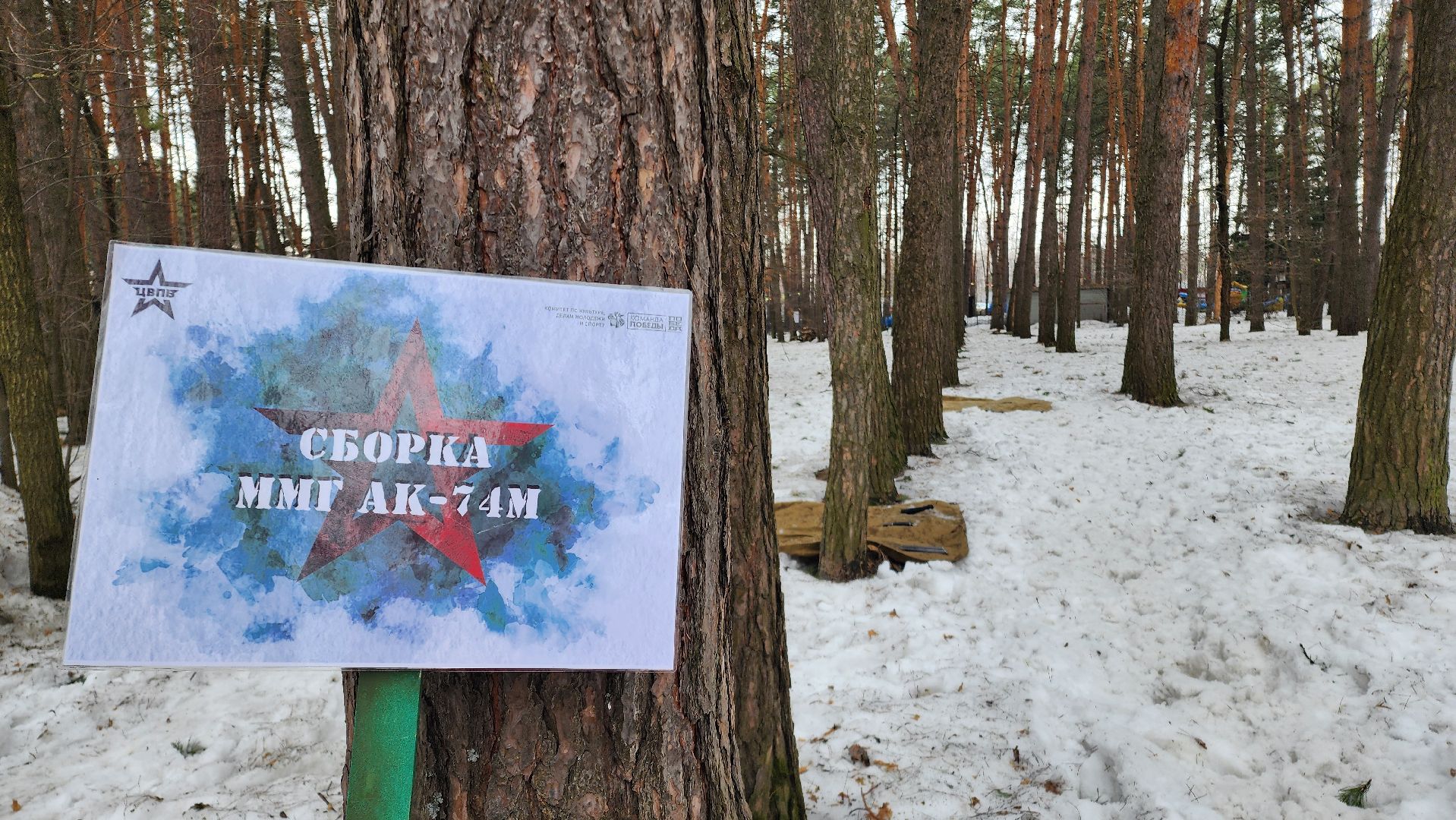 ЦВПВ, Подмосковье, Патриотическая игра, домодедово, Парк Елочки, Спортивная игра, патриотическое воспитание, молодежь домодедово, Молодежная политика, Комитет по культуре, МКЦ Победа,