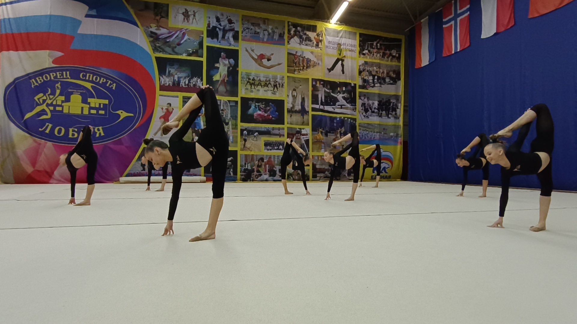 эстетическая гимнастика, спорт, лобня,