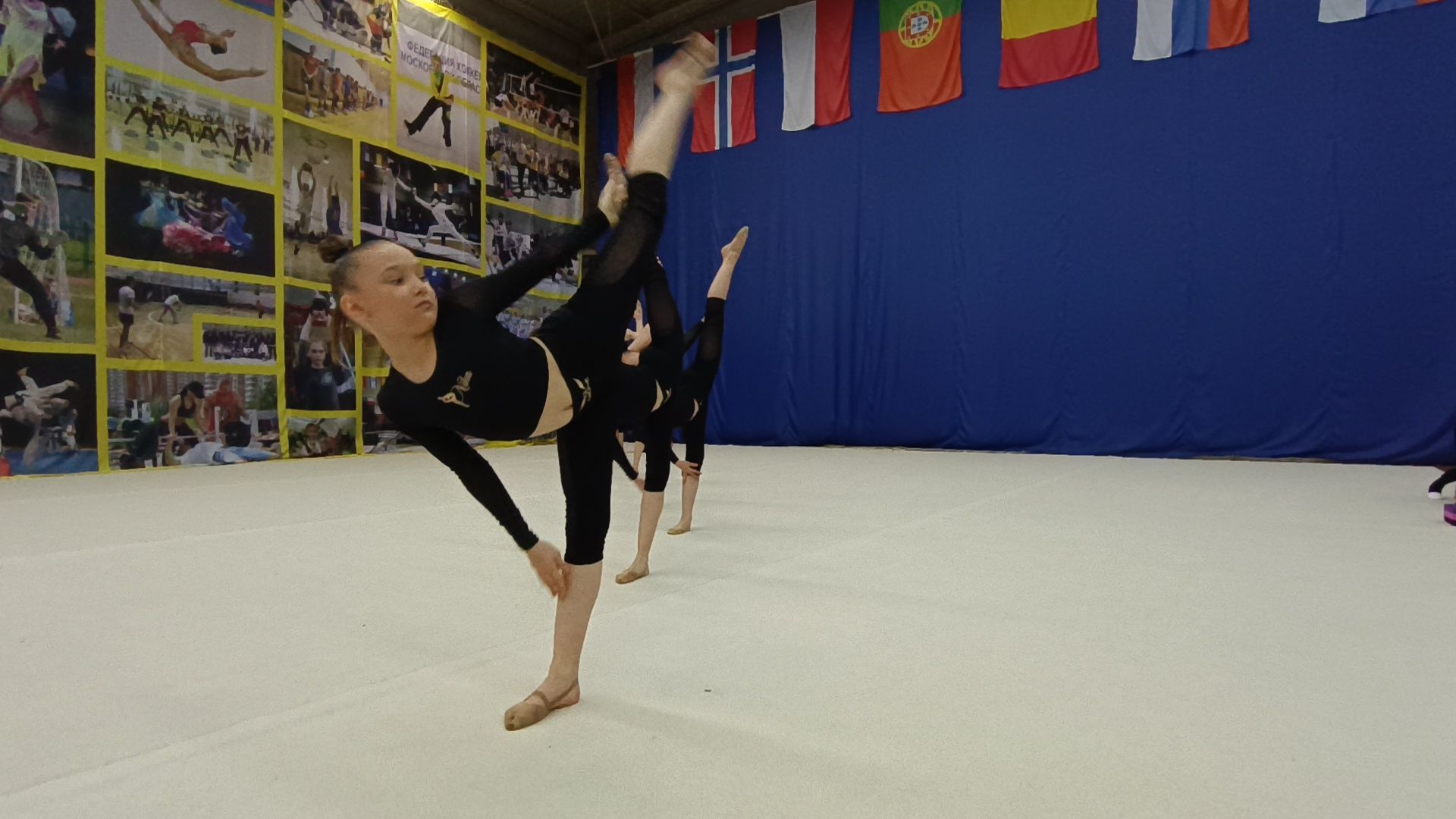 эстетическая гимнастика, спорт, лобня,