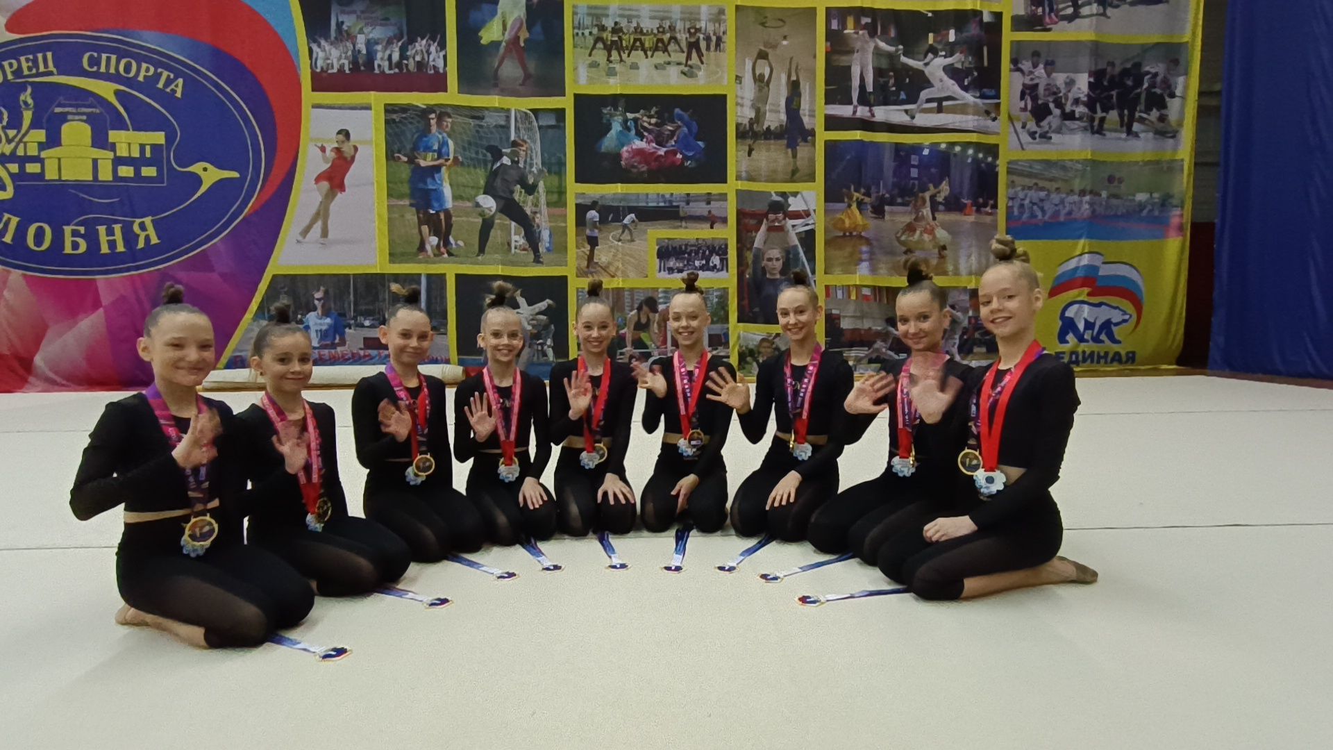 эстетическая гимнастика, спорт, лобня,