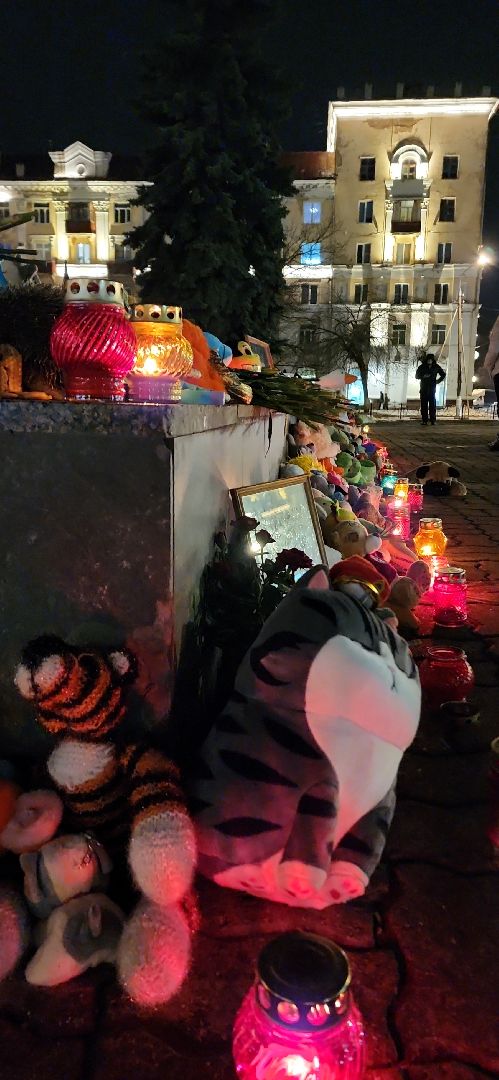 электросталь, мой город, жители города, память, память погибших, теракт, теракт в крокус сити холле, день памяти,