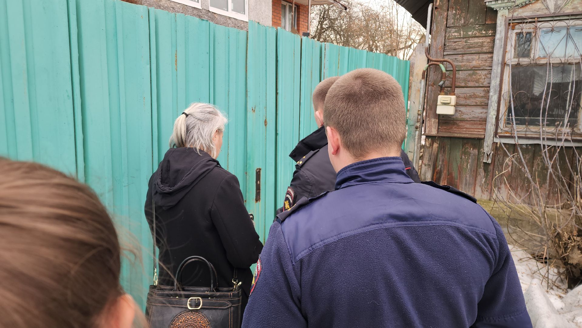 Кашира, собаки кашира, зоозащитники подмосковья,