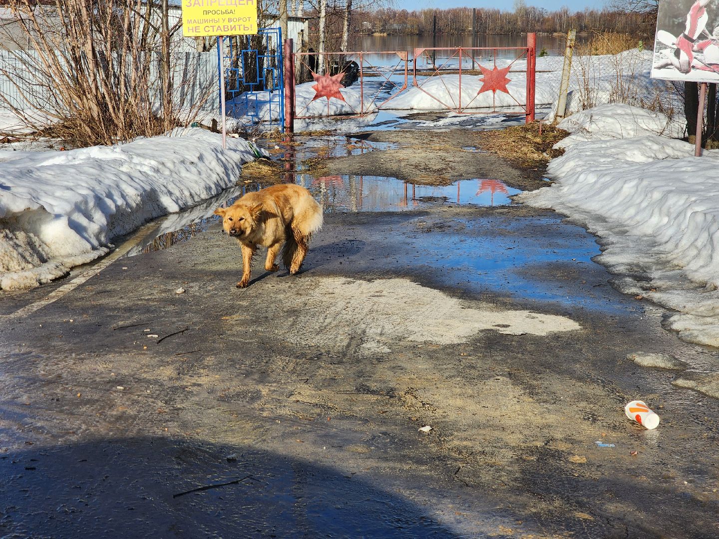 шатура, чп, чп подмосковье, подтопление, новости, россия 1, новости Подмосковья, вести москва, вести подмосковье, спасатели, моспожспас,