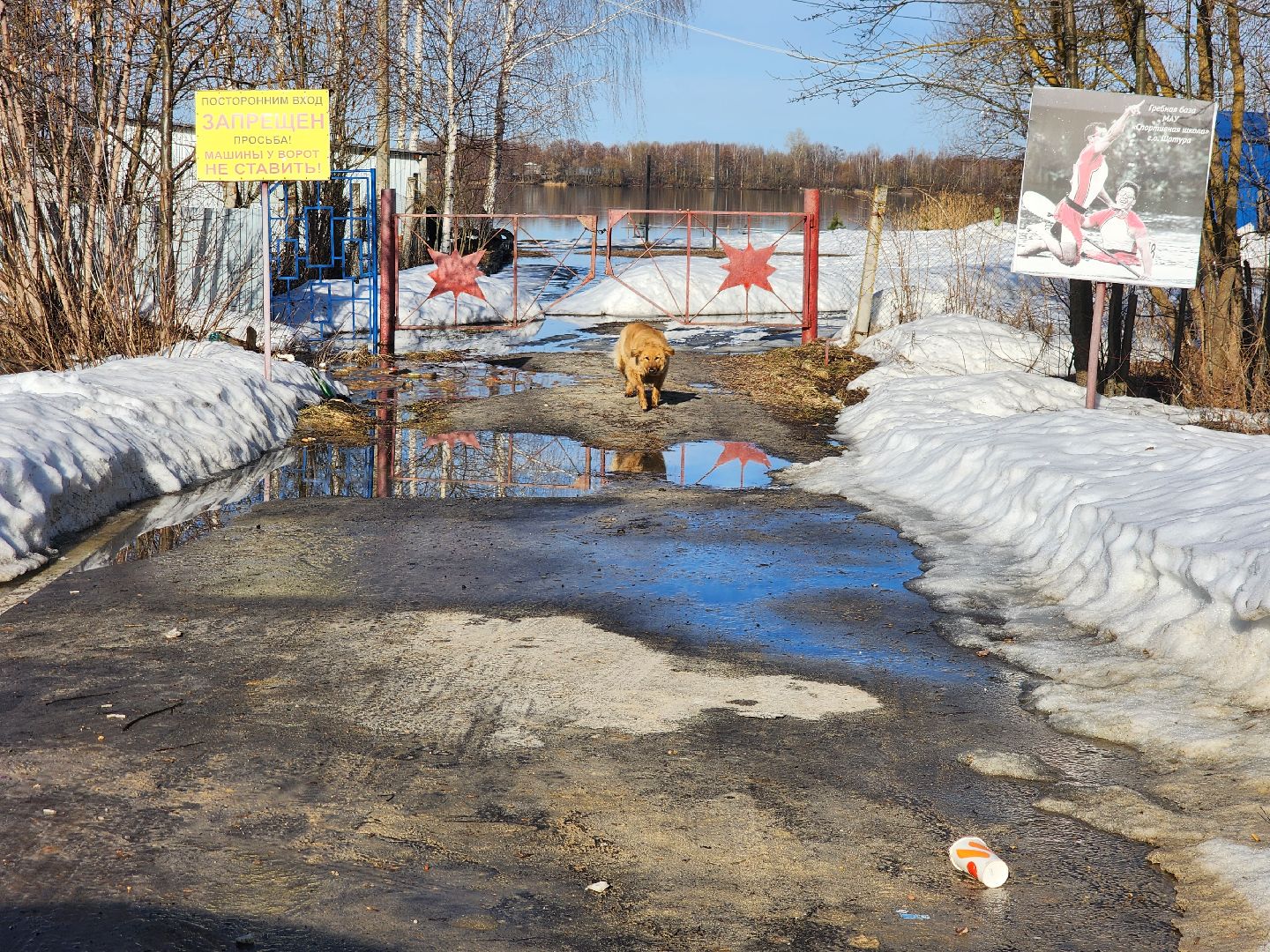 шатура, чп, чп подмосковье, подтопление, новости, россия 1, новости Подмосковья, вести москва, вести подмосковье, спасатели, моспожспас,