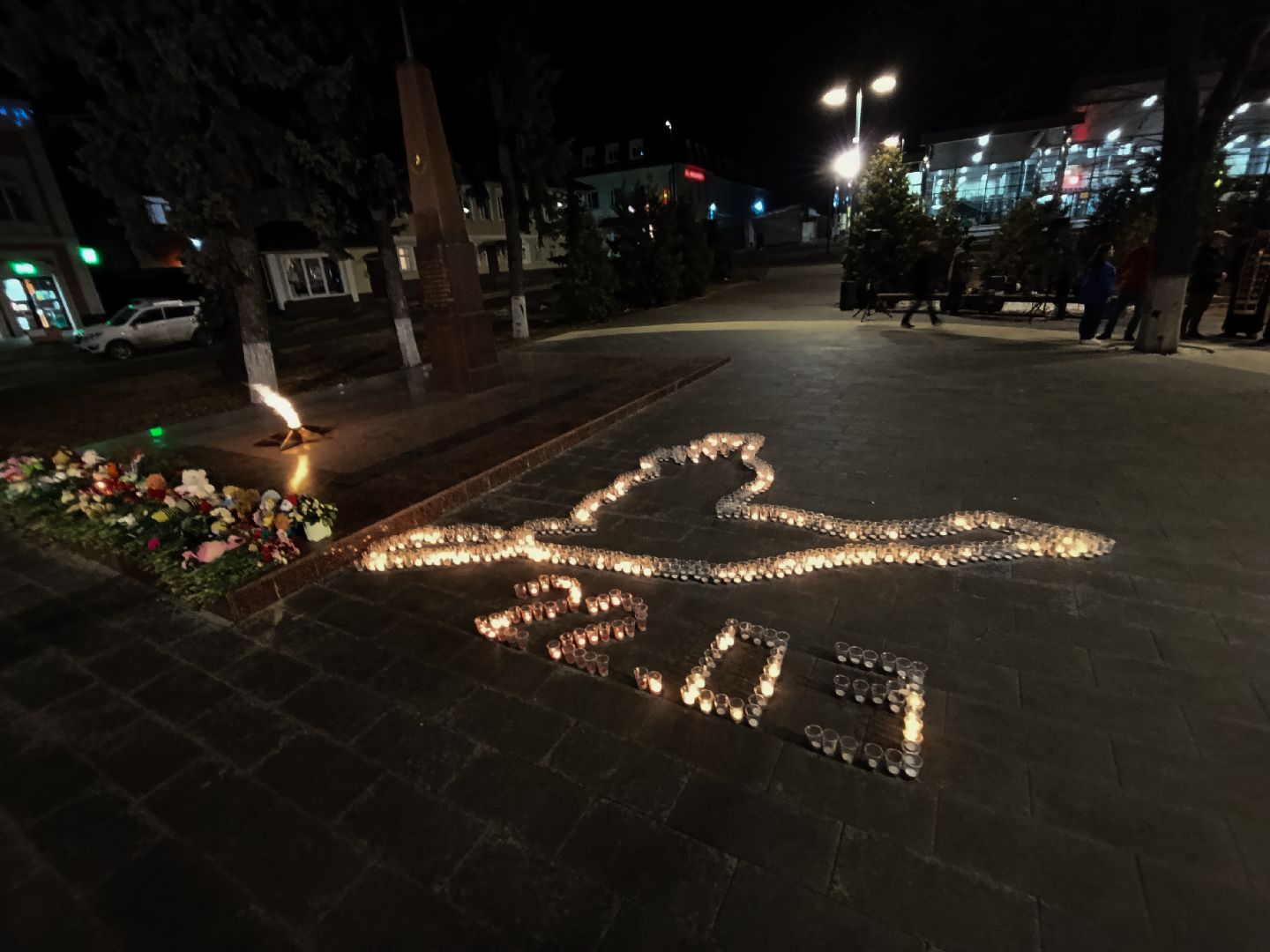 Бронницы, акция журавли, акция памяти,теракт,