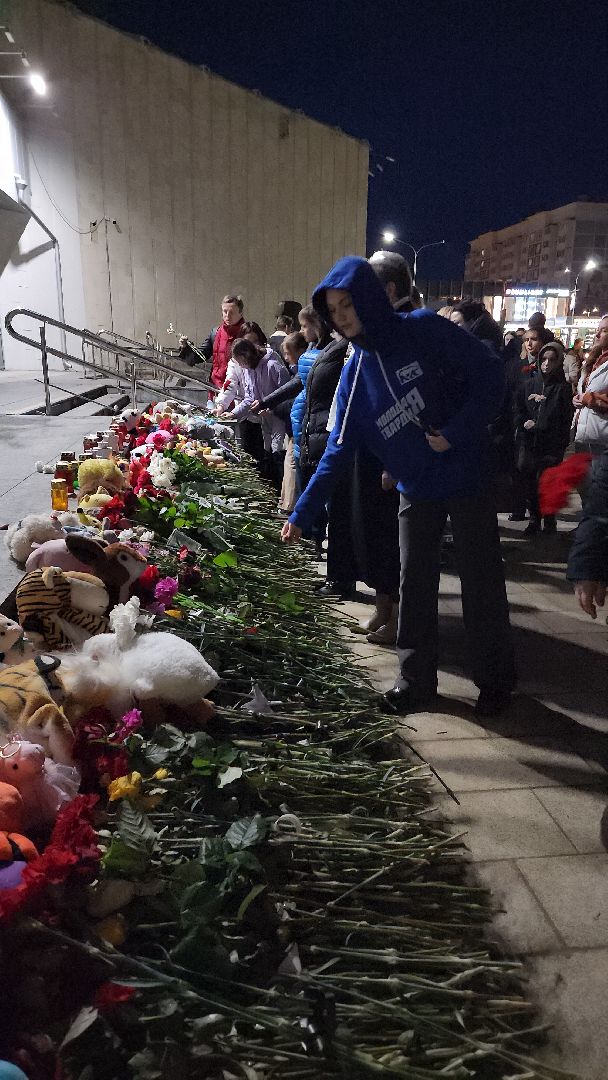 теракт, теракт в крокус сити холле, журавли, акция журавли, память о погибших, память погибших, руза скорбит, Руза,