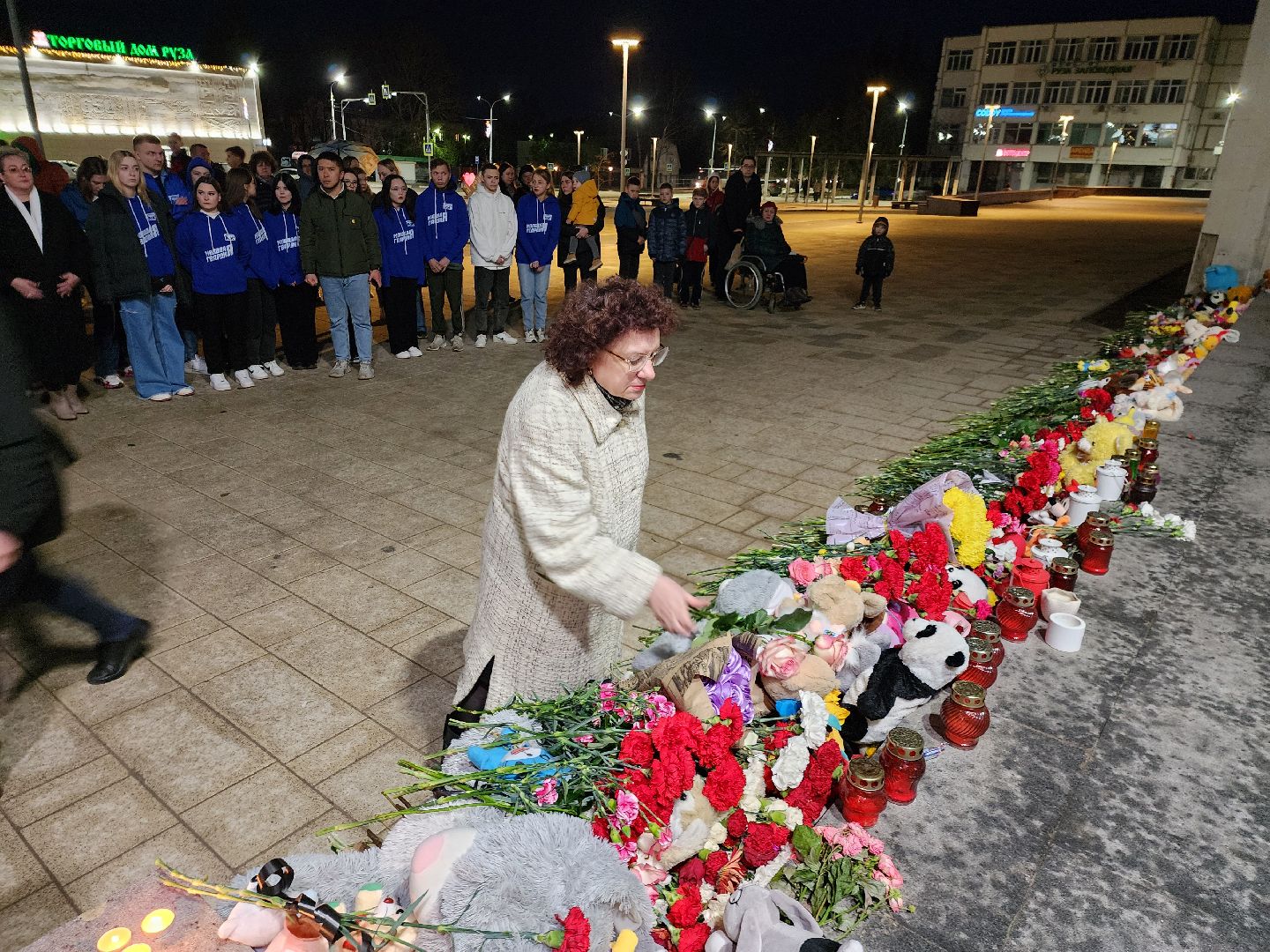 теракт, теракт в крокус сити холле, журавли, акция журавли, память о погибших, память погибших, руза скорбит, Руза,