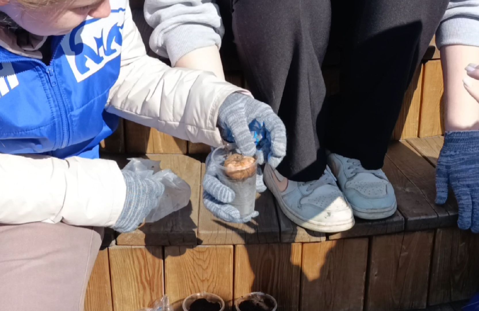 Крокус, акция памяти, Бронницы, Высадка крокусов,теракт,