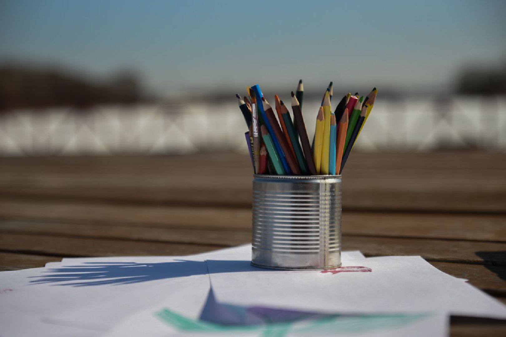 Крокус, акция памяти, Бронницы, Высадка крокусов,теракт,