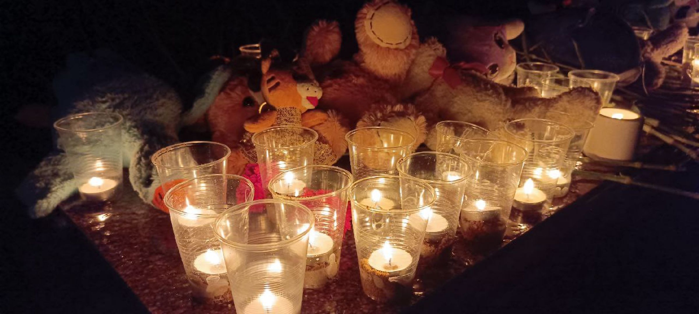 Дмитров,теракт,