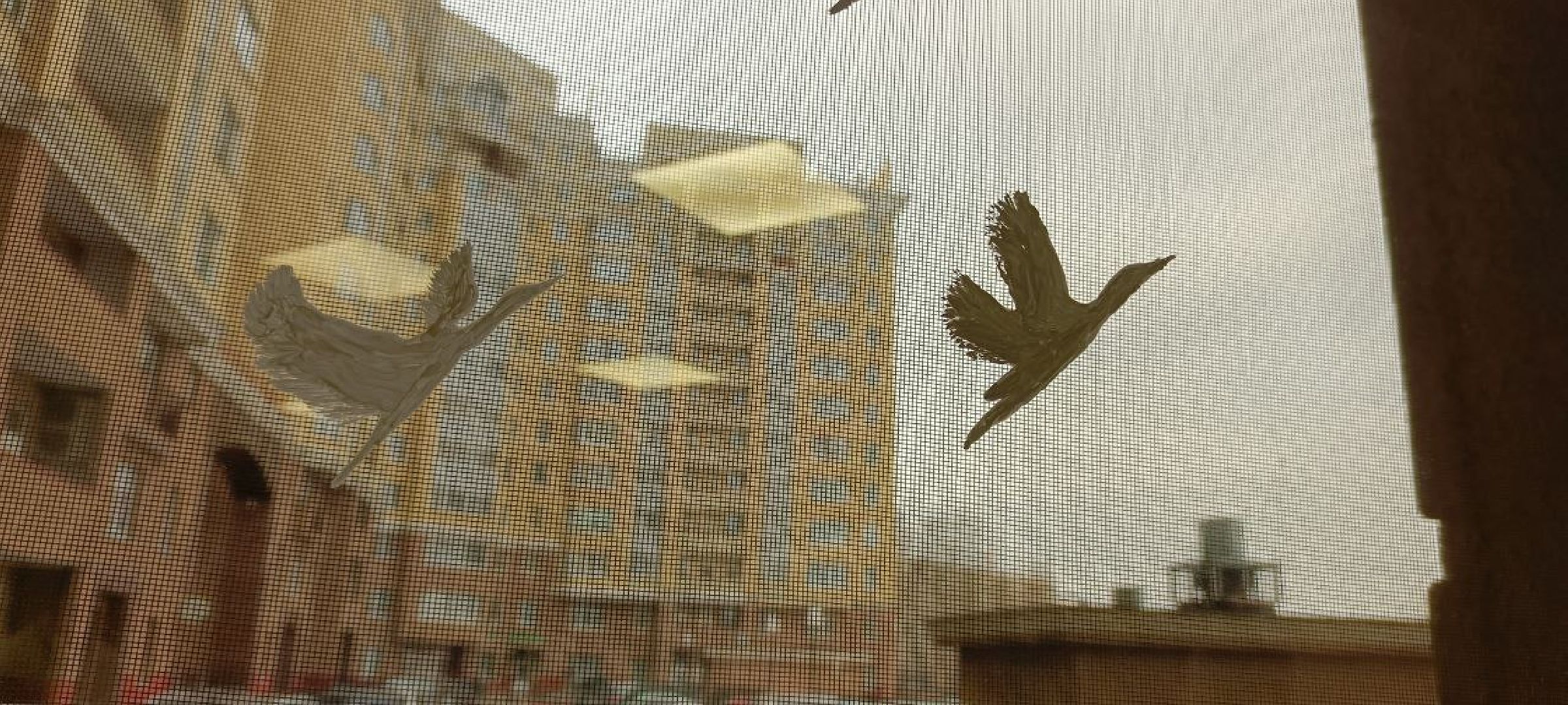 Дмитров,теракт,