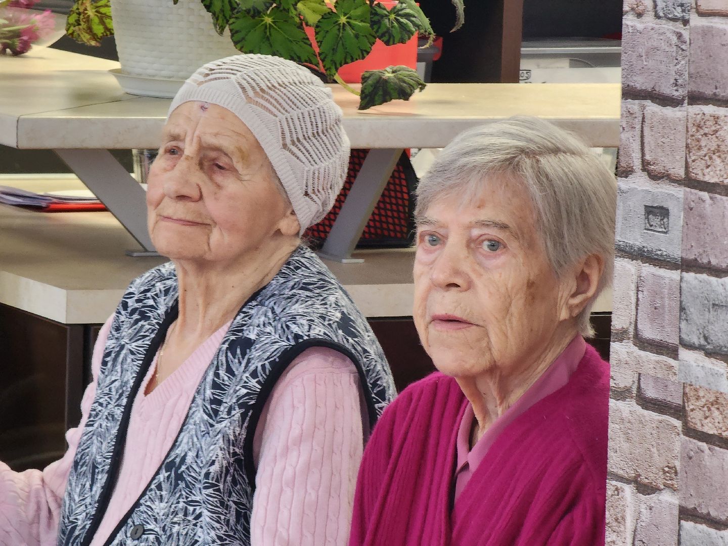 Творческий вечер, пансионат, пенсионеры, руза, рузский городской округ, Лариса Лужина, актриса,