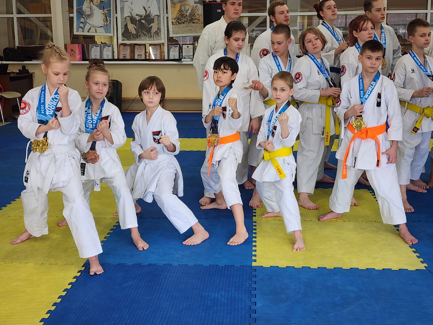 каратэ, кубок мира, орехово зуево,