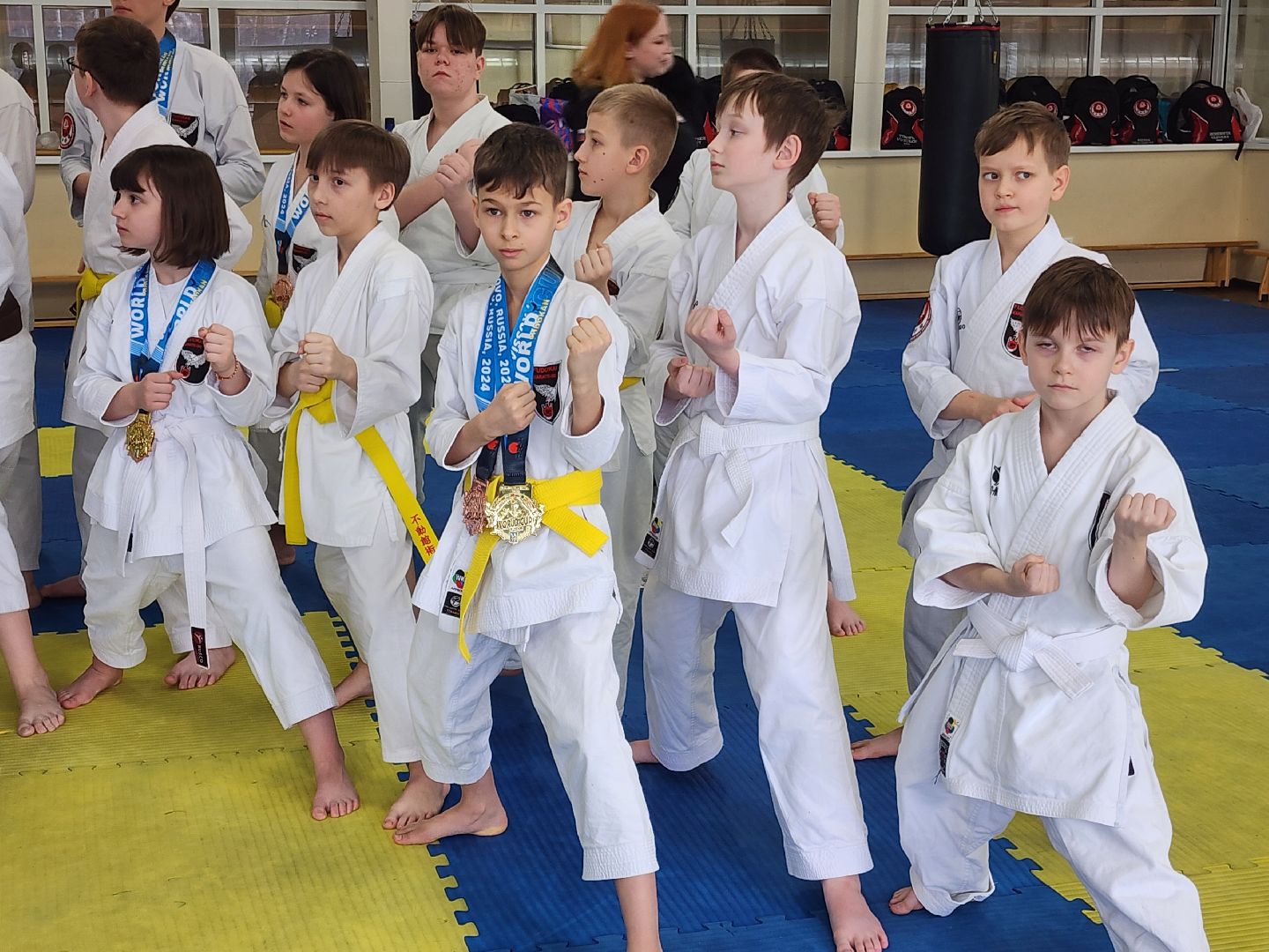 каратэ, кубок мира, орехово зуево,
