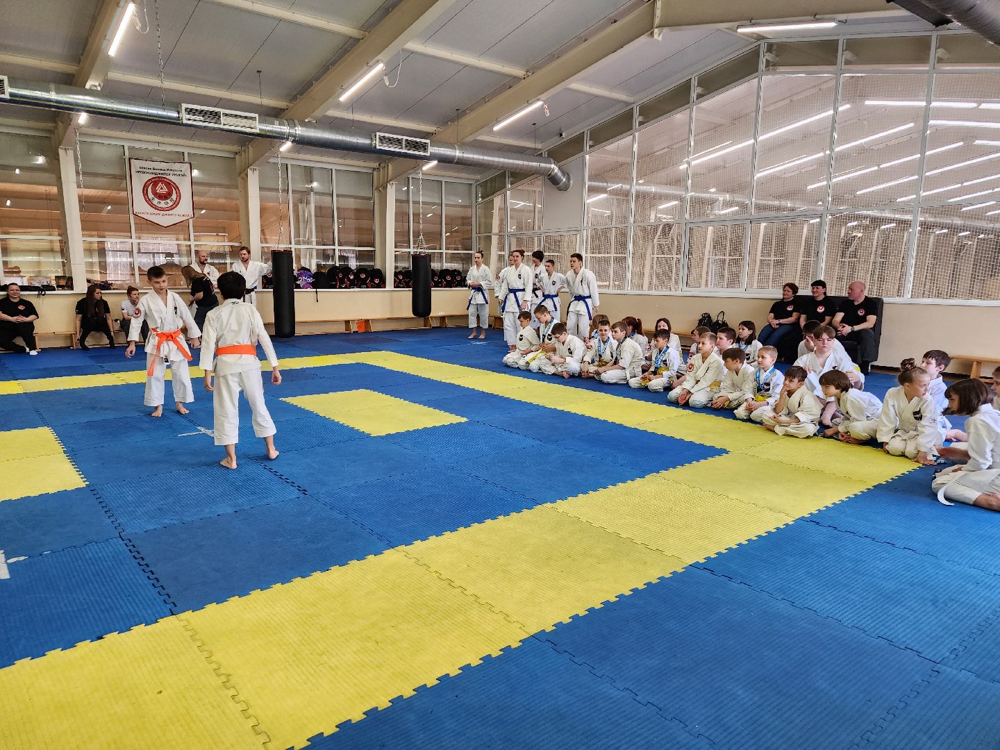 каратэ, кубок мира, орехово зуево,