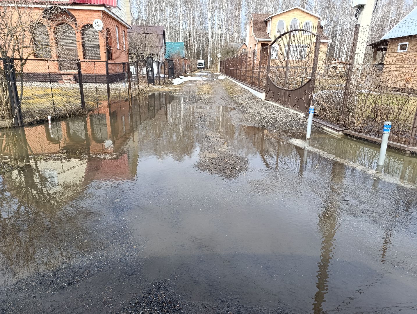 Раменское, Разлив реки Сетовки, Подтопление домов, Бобры,