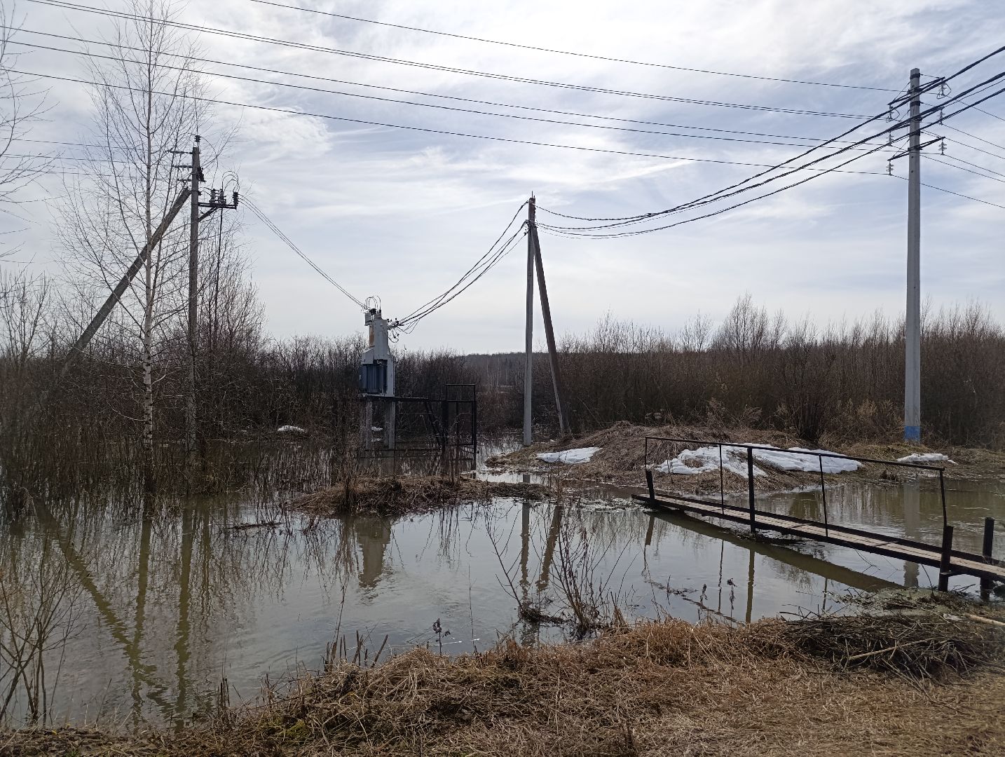 Раменское, Разлив реки Сетовки, Подтопление домов, Бобры,