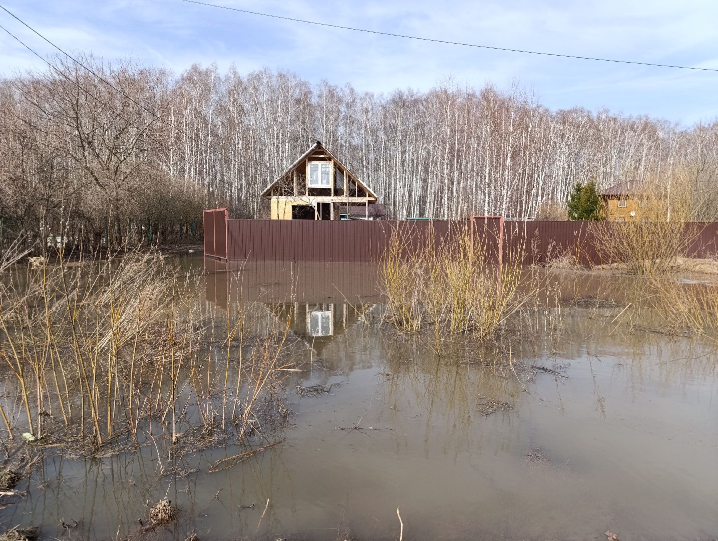 Раменское, Разлив реки Сетовки, Подтопление домов, Бобры,