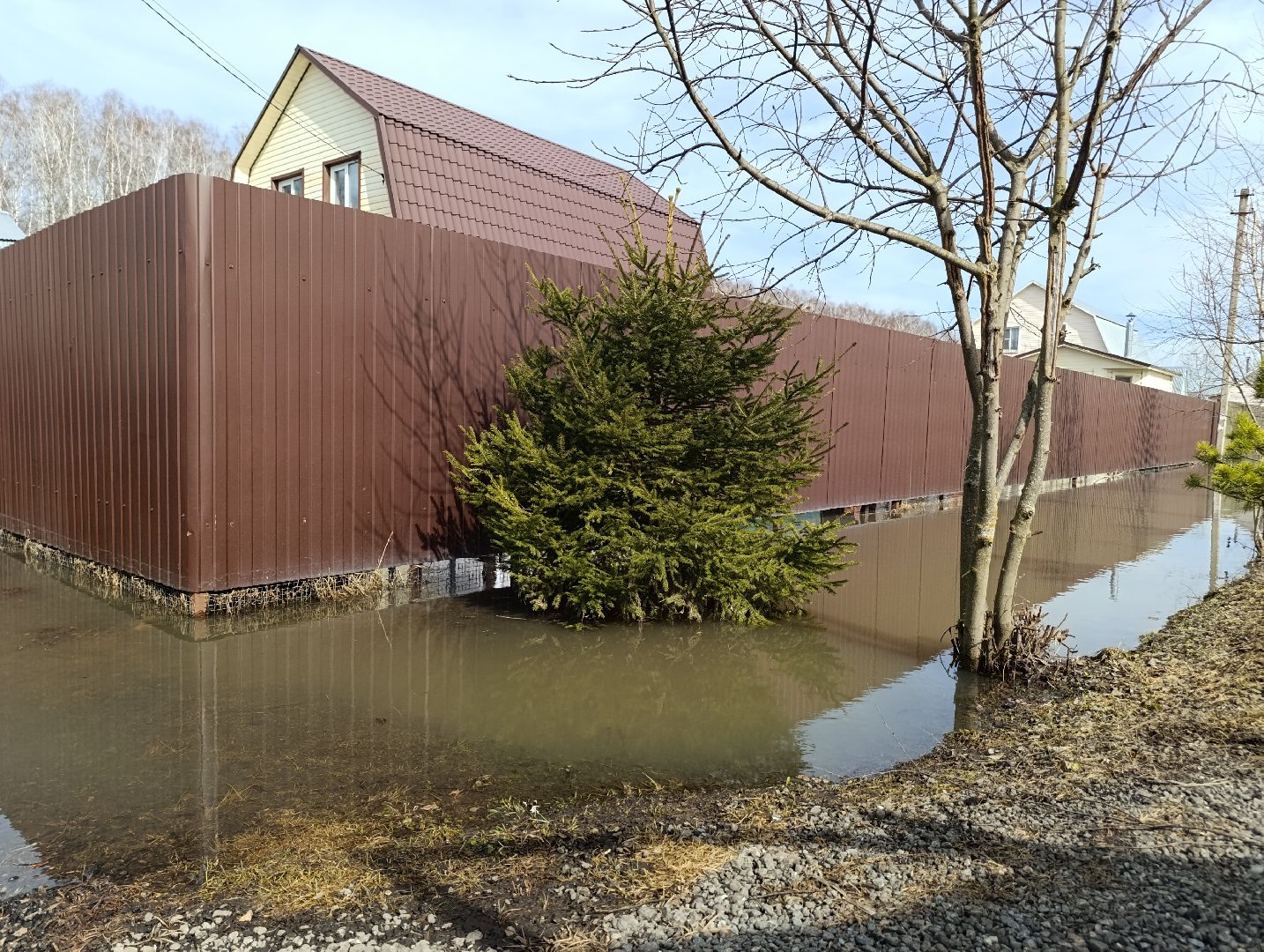 Раменское, Разлив реки Сетовки, Подтопление домов, Бобры,