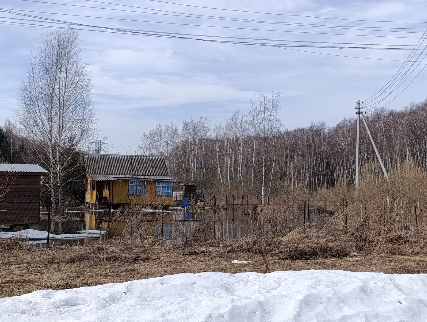 Раменское, Разлив реки Сетовки, Подтопление домов, Бобры,