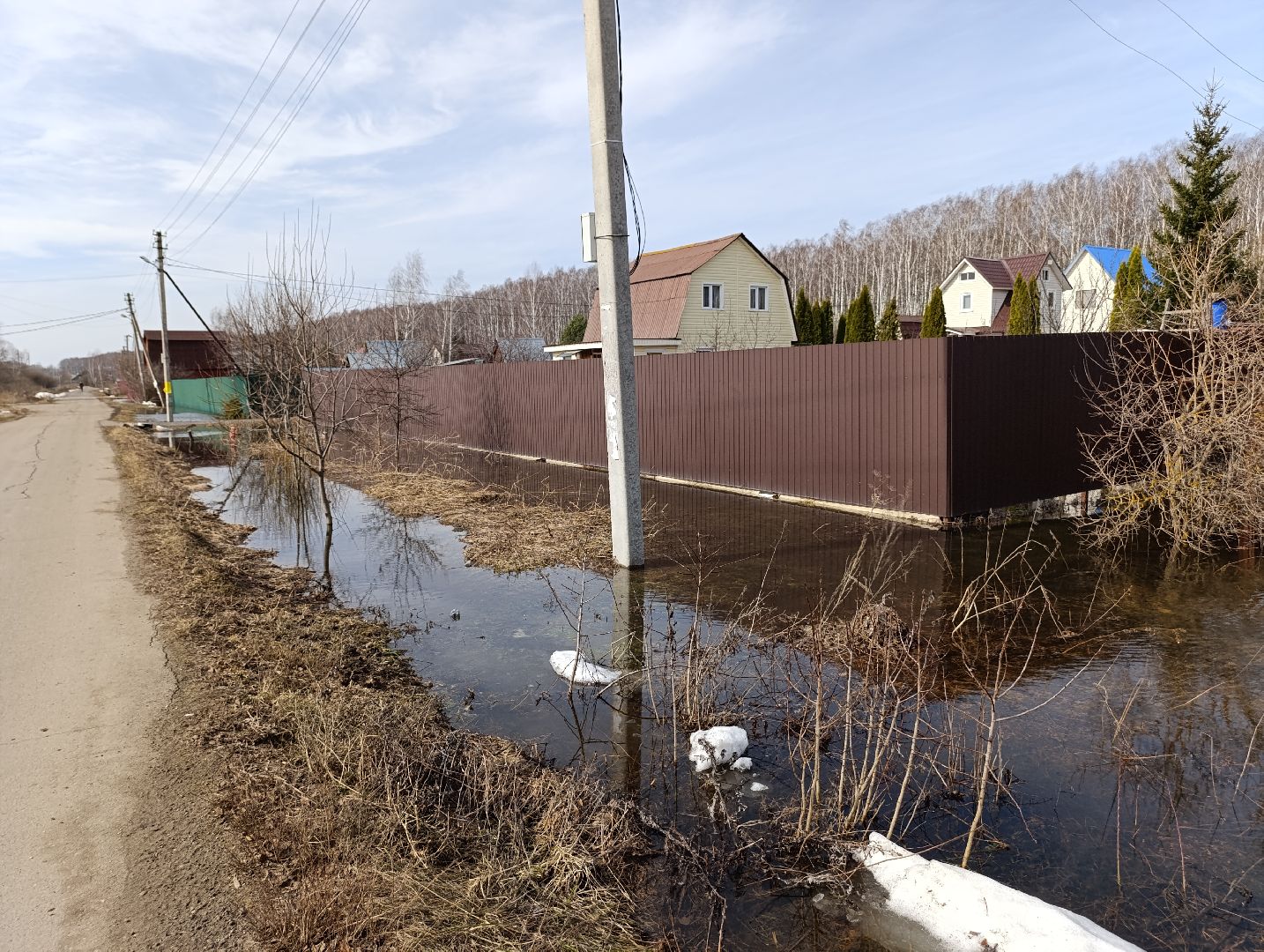 Раменское, Разлив реки Сетовки, Подтопление домов, Бобры,