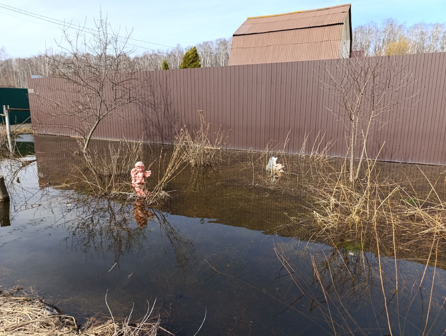 Раменское, Разлив реки Сетовки, Подтопление домов, Бобры,