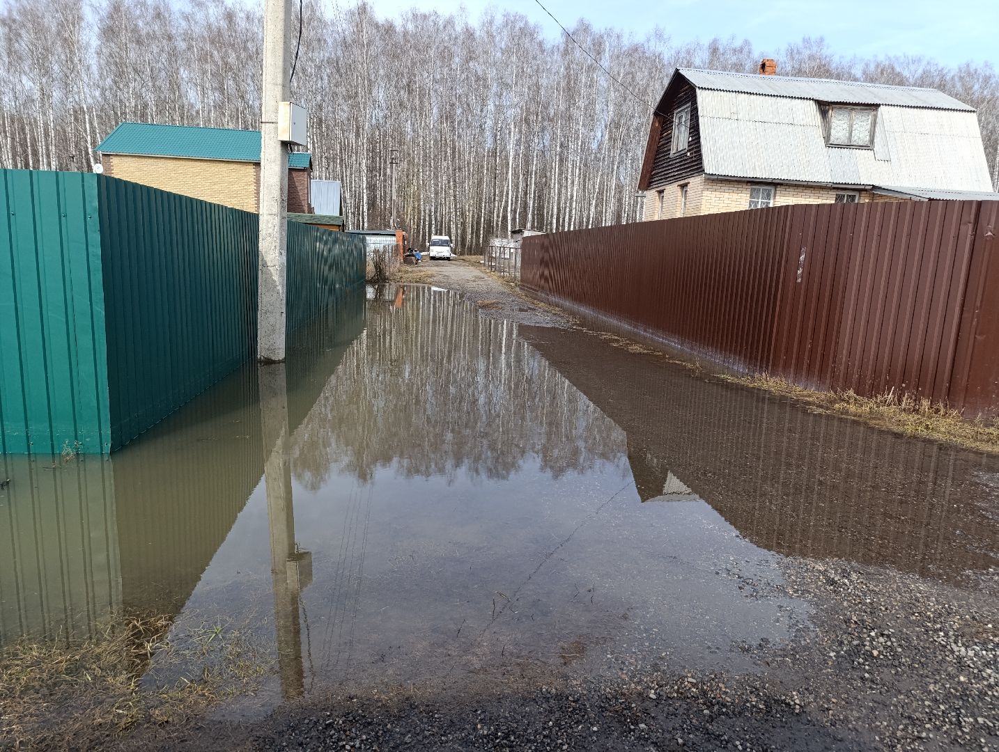 Раменское, Разлив реки Сетовки, Подтопление домов, Бобры,