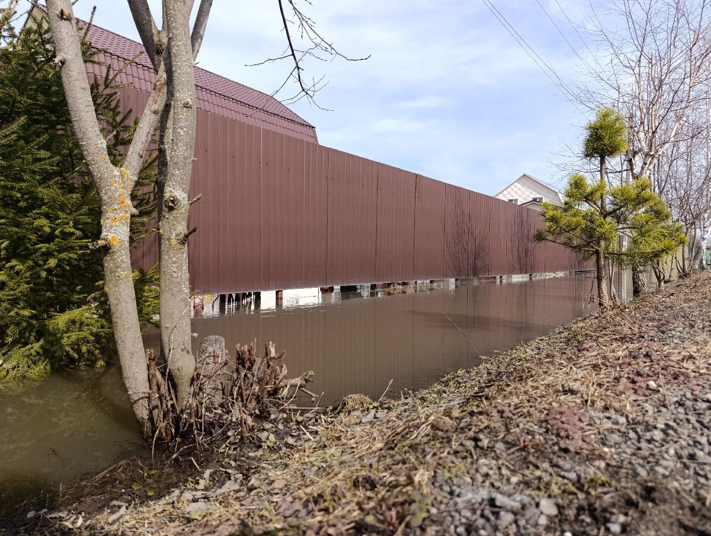 Раменское, Разлив реки Сетовки, Подтопление домов, Бобры,