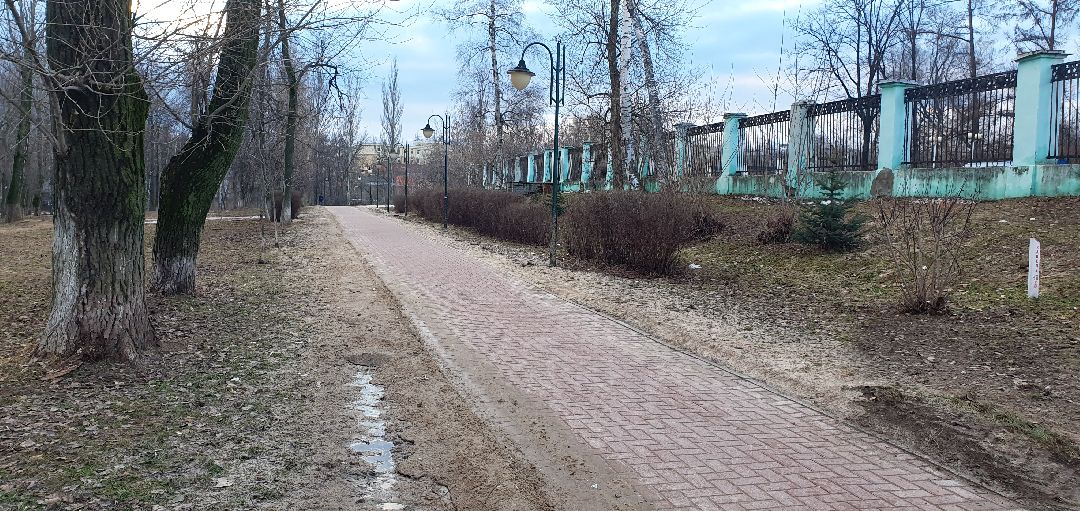 озеленение, Дзержинский, клумбы, высадка кустарников