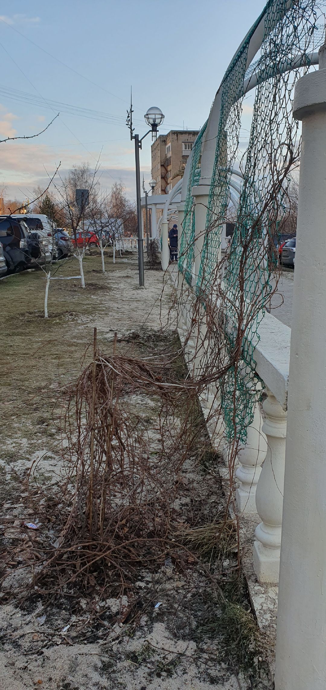 озеленение, Дзержинский, клумбы, высадка кустарников