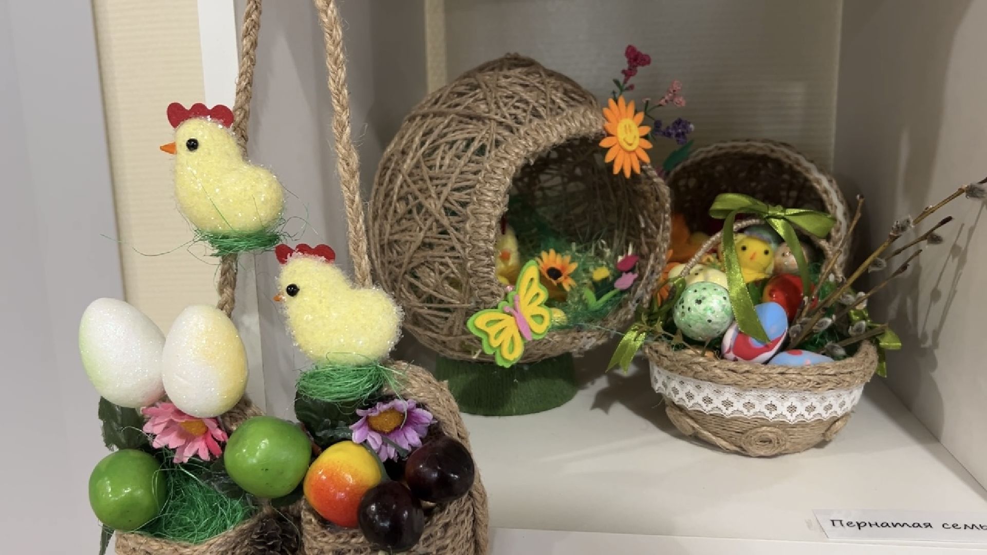 химки, активное долголетие, выставка,