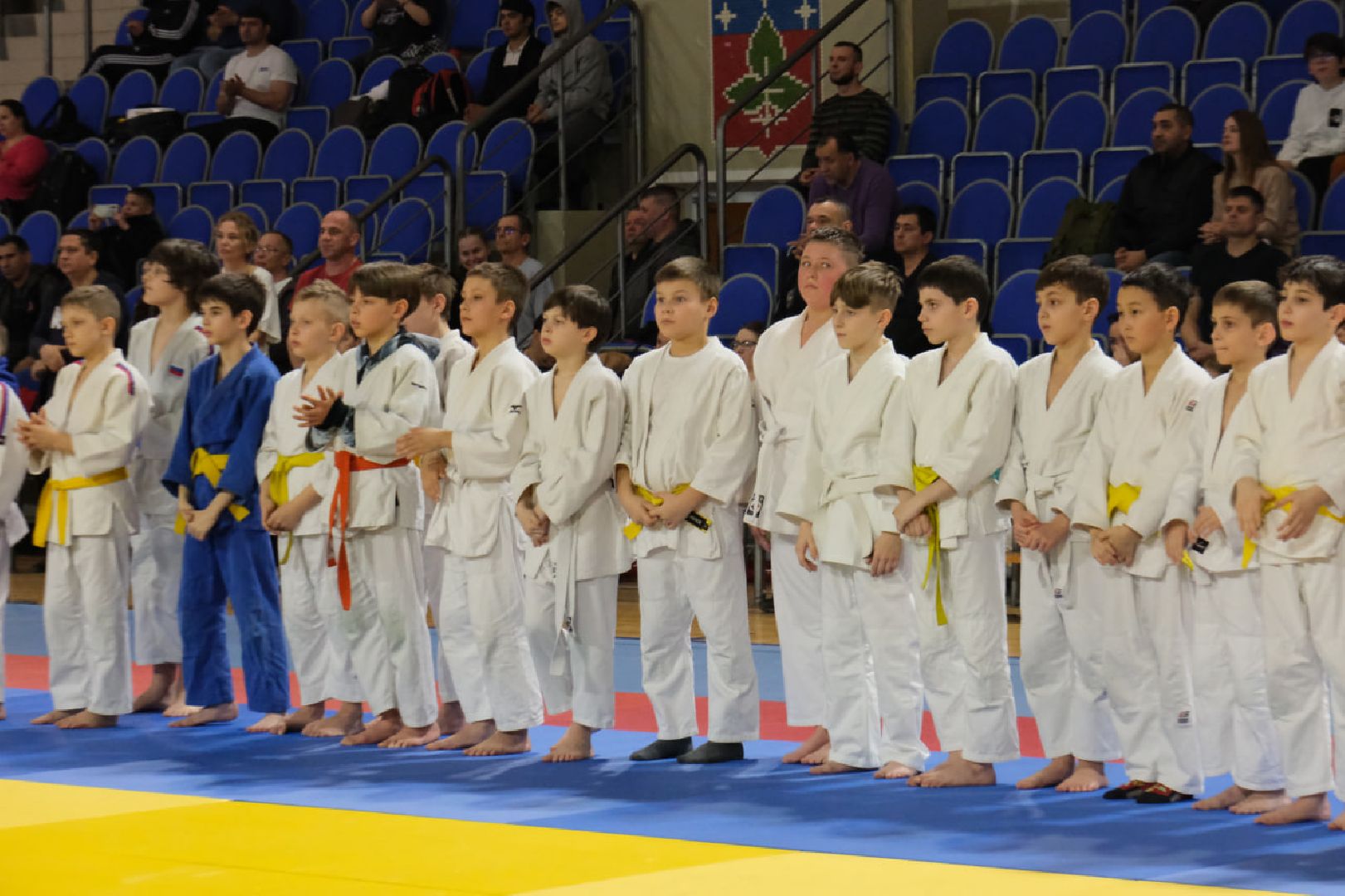 пущино, спорт, дзюдо,