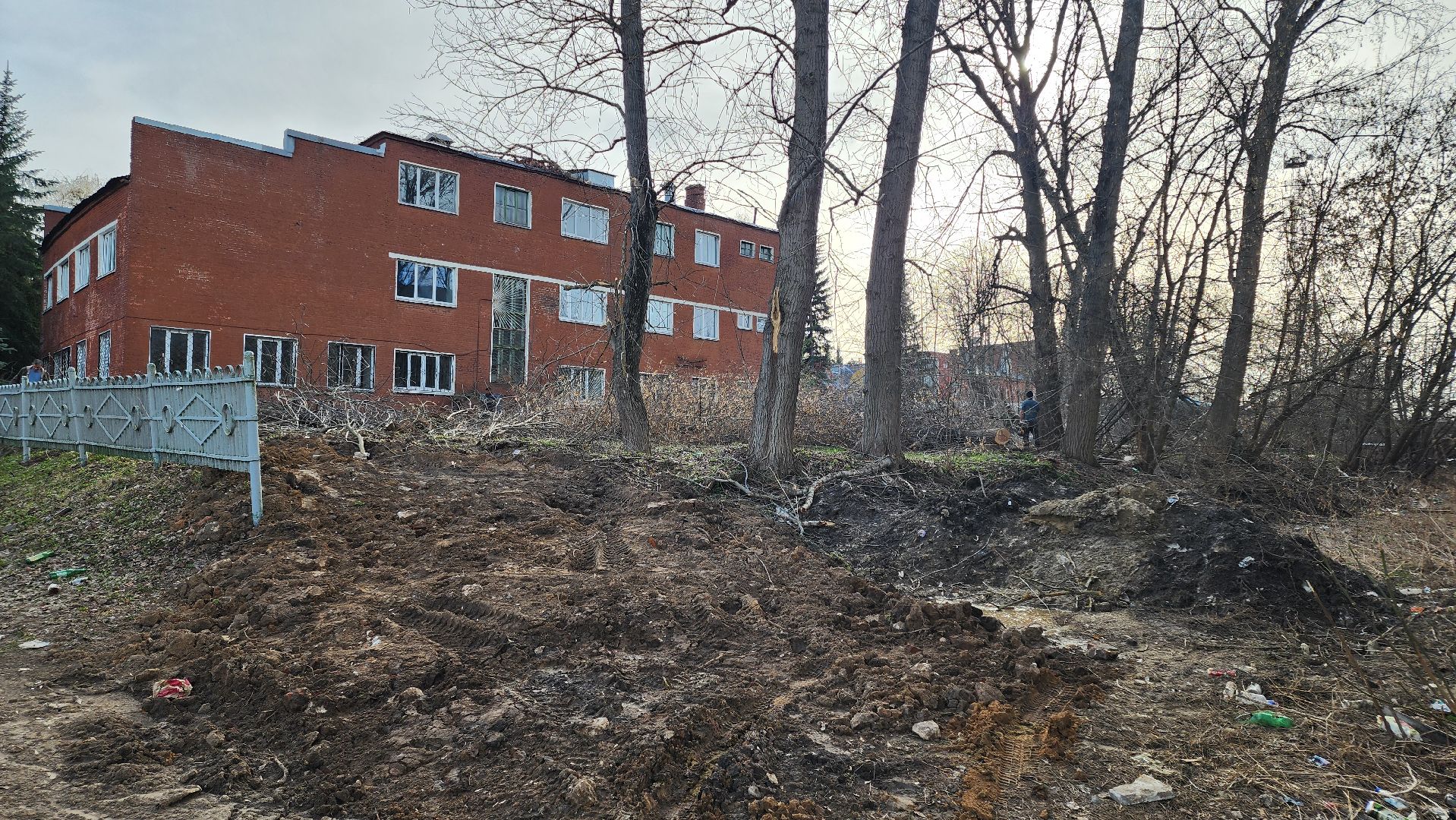 кашира, советский проспект, опиловка, аварийные деревья, тополя, дом общественных организаций, каширская грэс,