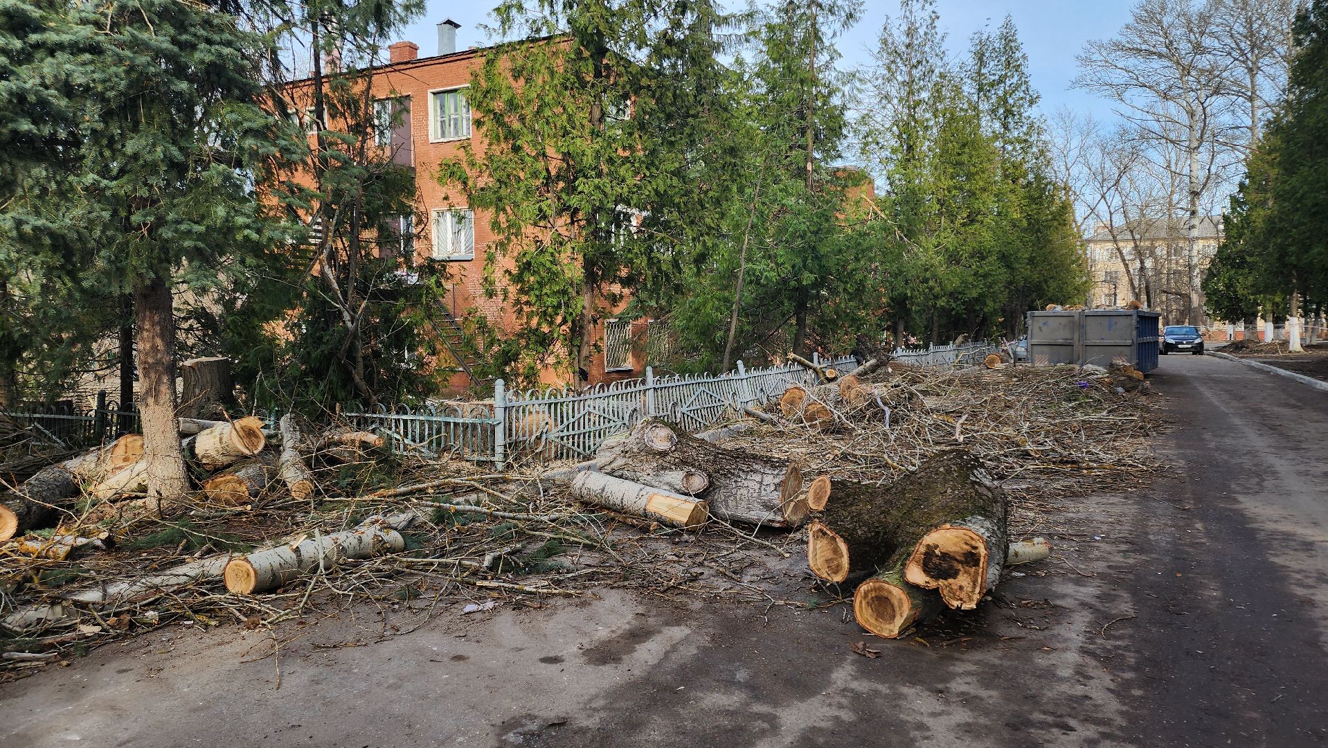 кашира, советский проспект, опиловка, аварийные деревья, тополя, дом общественных организаций, каширская грэс,