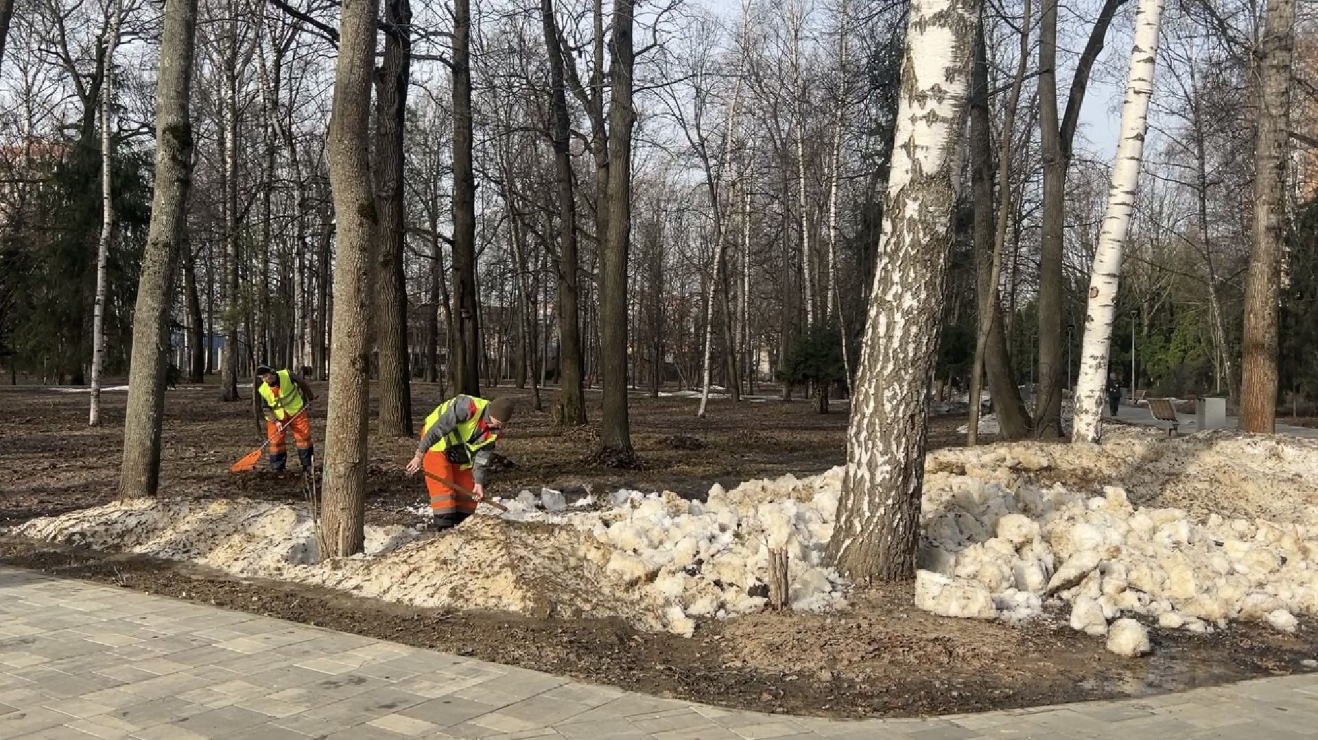 химки, благоустройство, парк, уборка города,