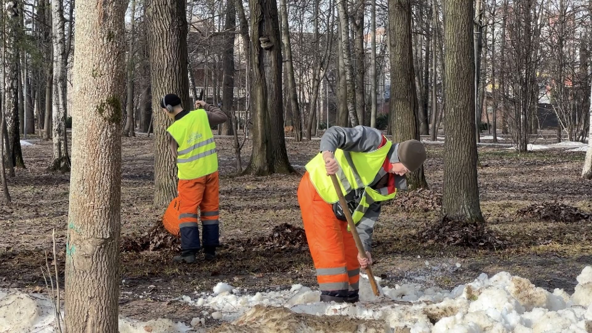 химки, благоустройство, парк, уборка города,