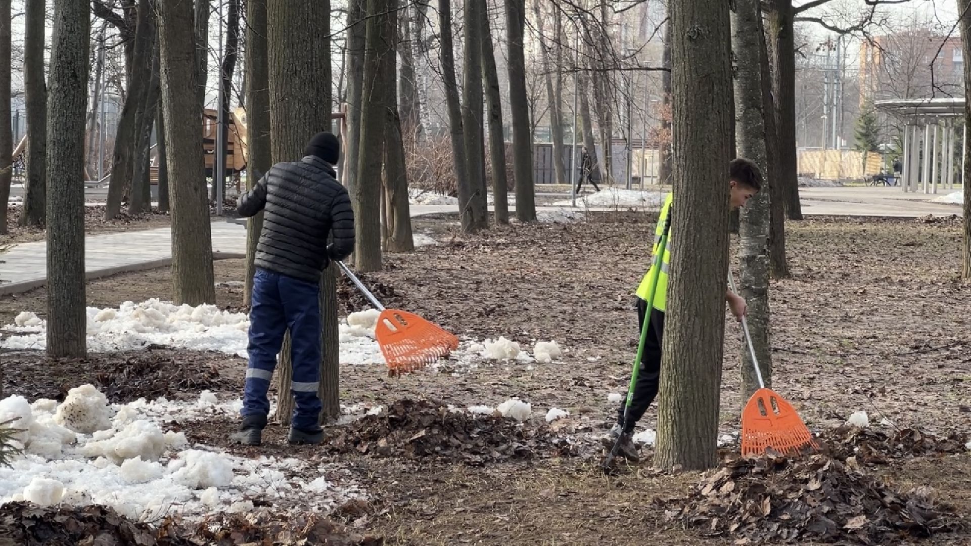 химки, благоустройство, парк, уборка города,