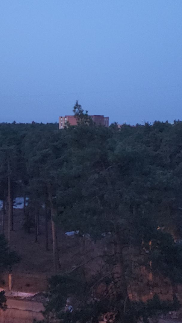 дрозд, дрозд певчий, природа, птицы, Николай Середа,