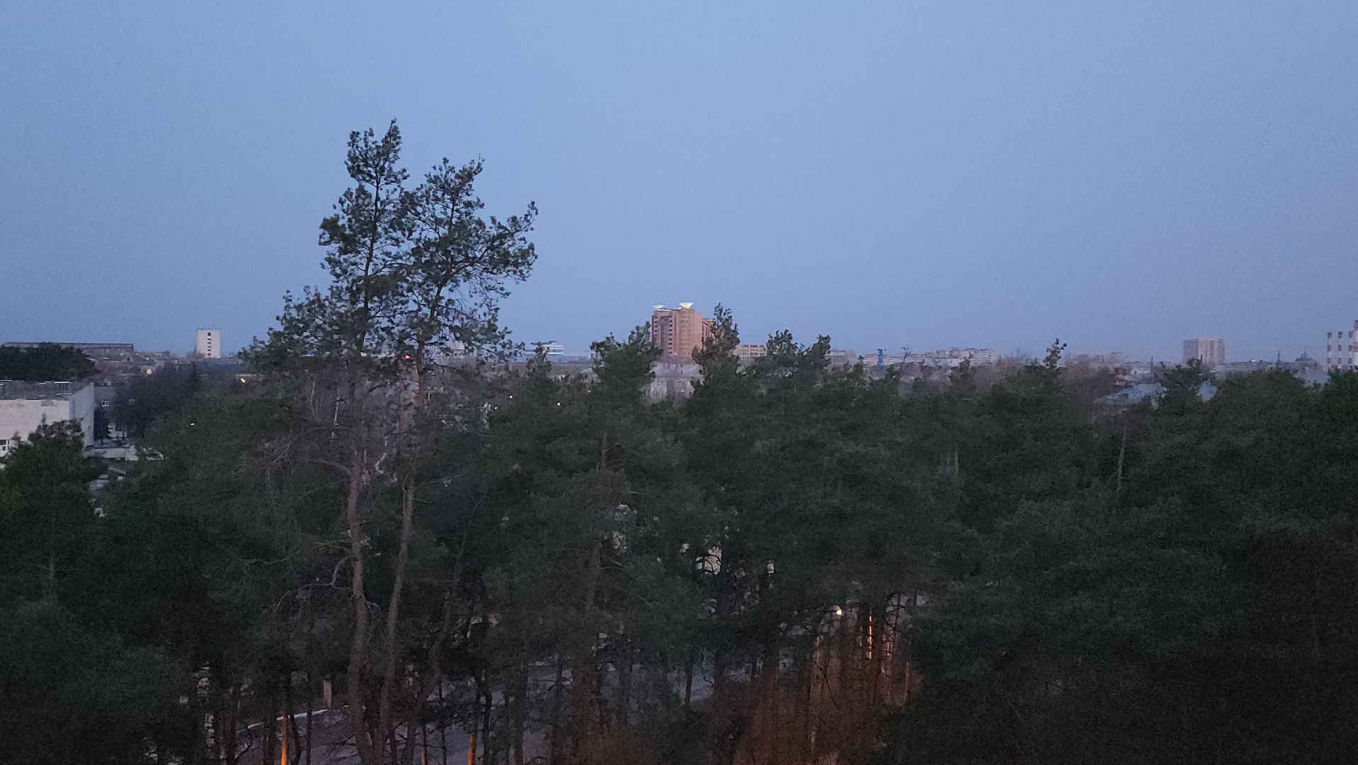 дрозд, дрозд певчий, природа, птицы, Николай Середа,