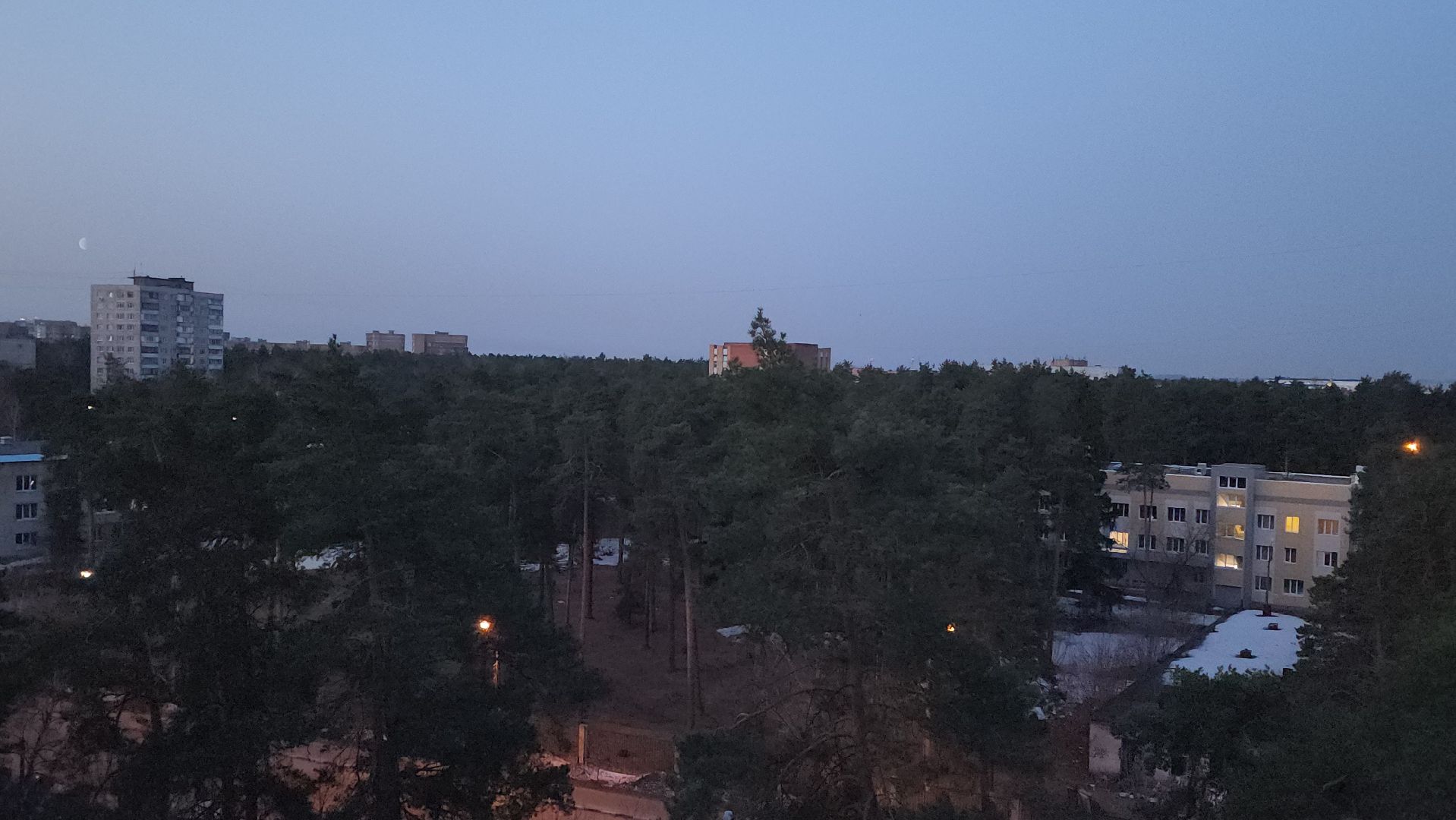 дрозд, дрозд певчий, природа, птицы, Николай Середа,