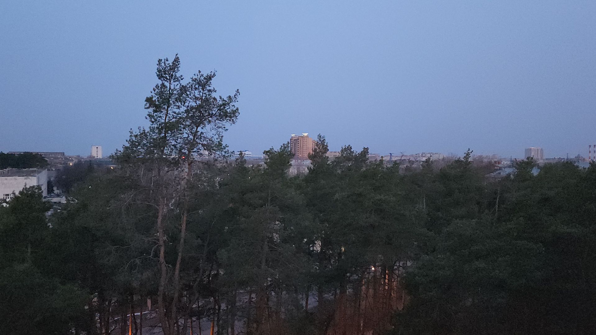 дрозд, дрозд певчий, природа, птицы, Николай Середа,