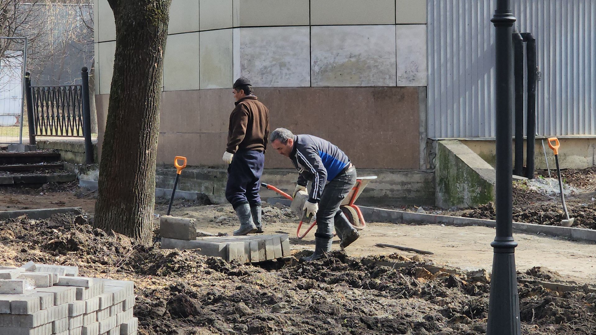 серпухов, сквер на северной площади, благоустройство, светильник, дорожки, национальные проекты,