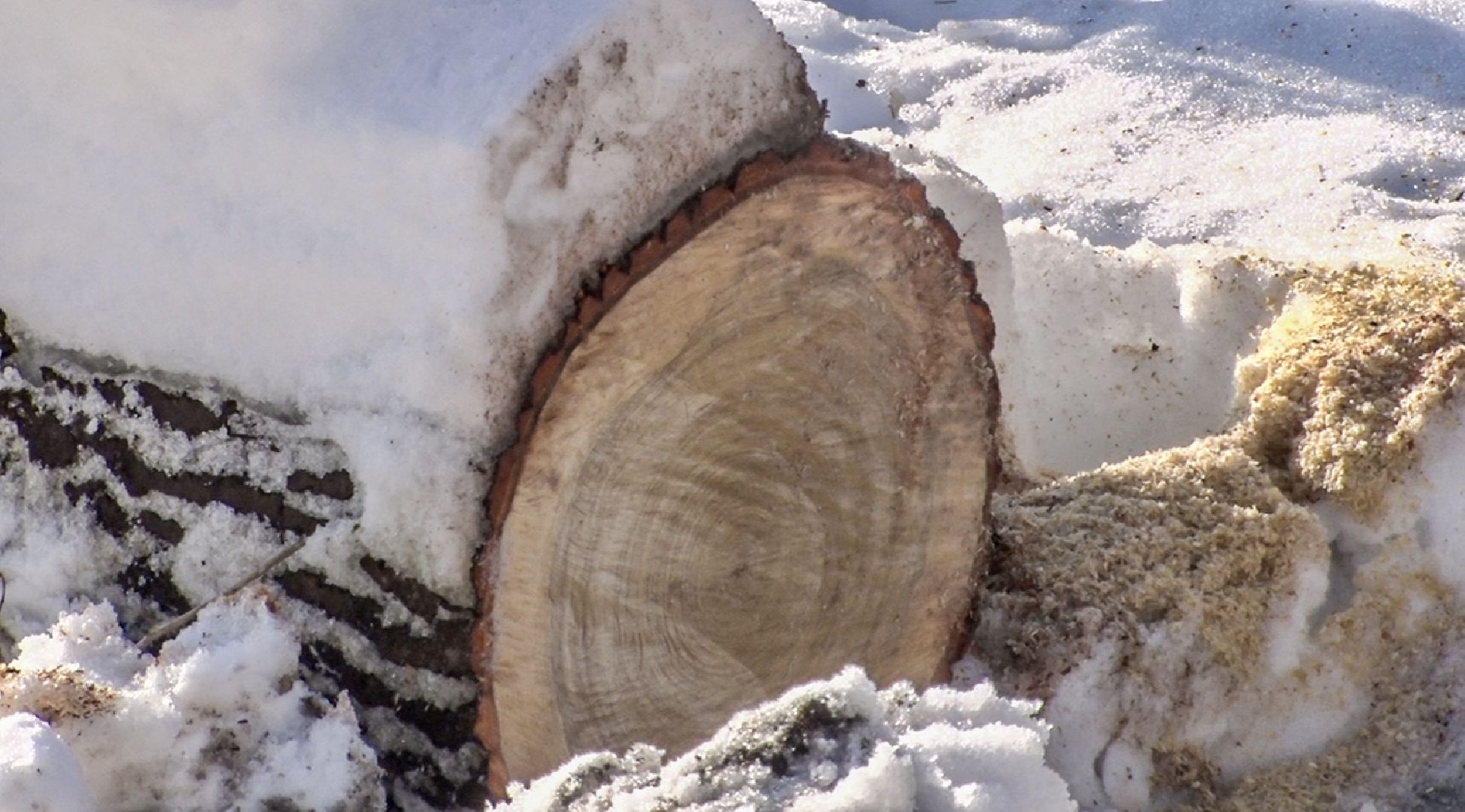 Клин, общество, благоустройство, ЖКХ,