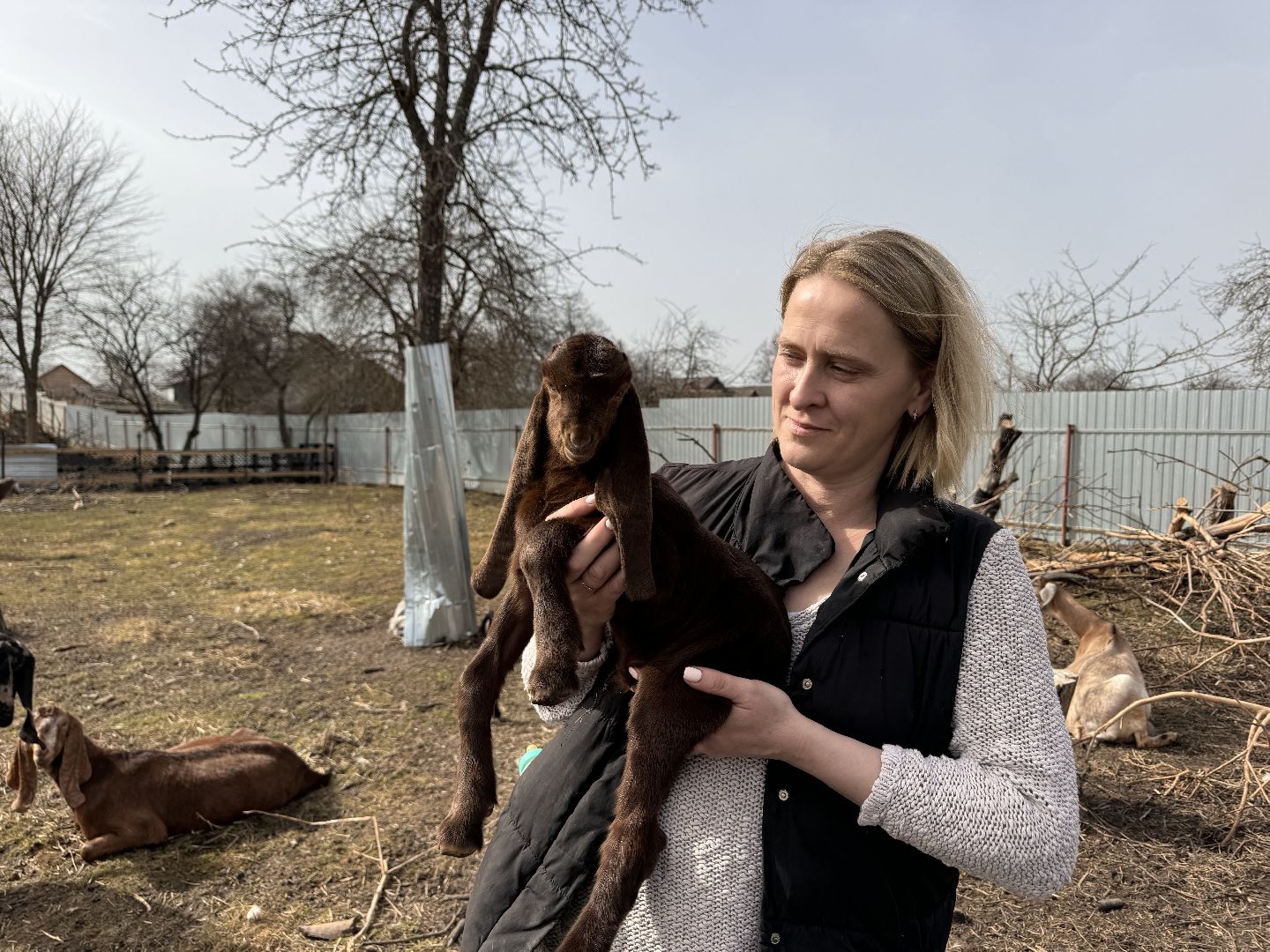 шаховская, фермер, козы, козлята,