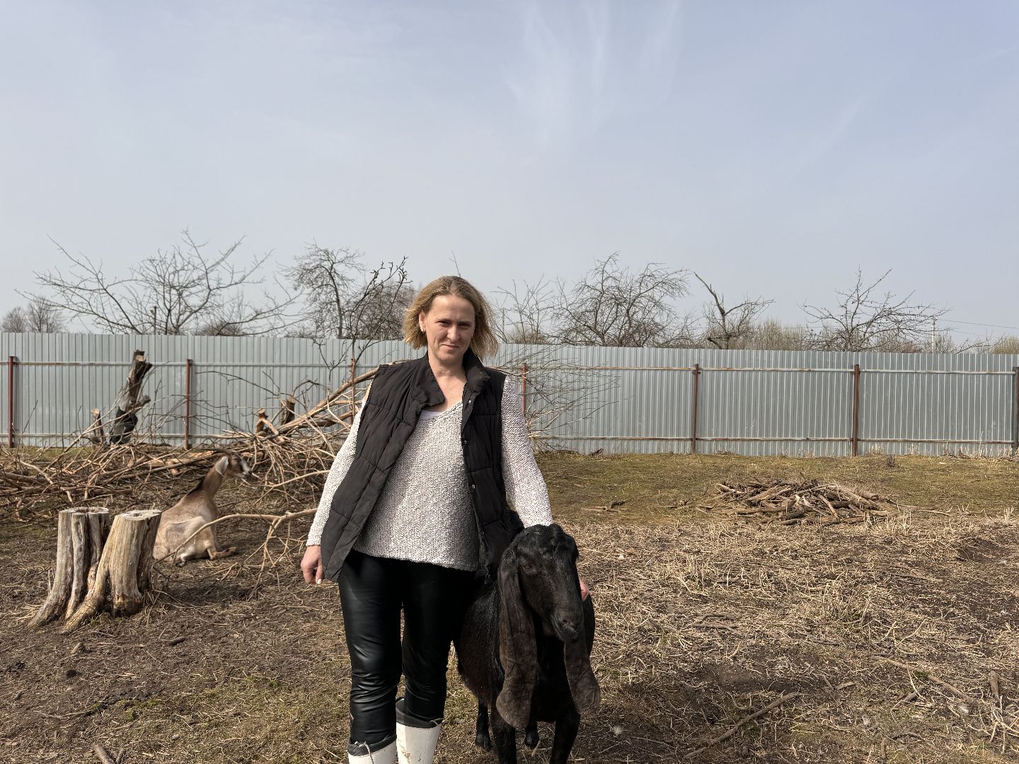 шаховская, фермер, козы, козлята,