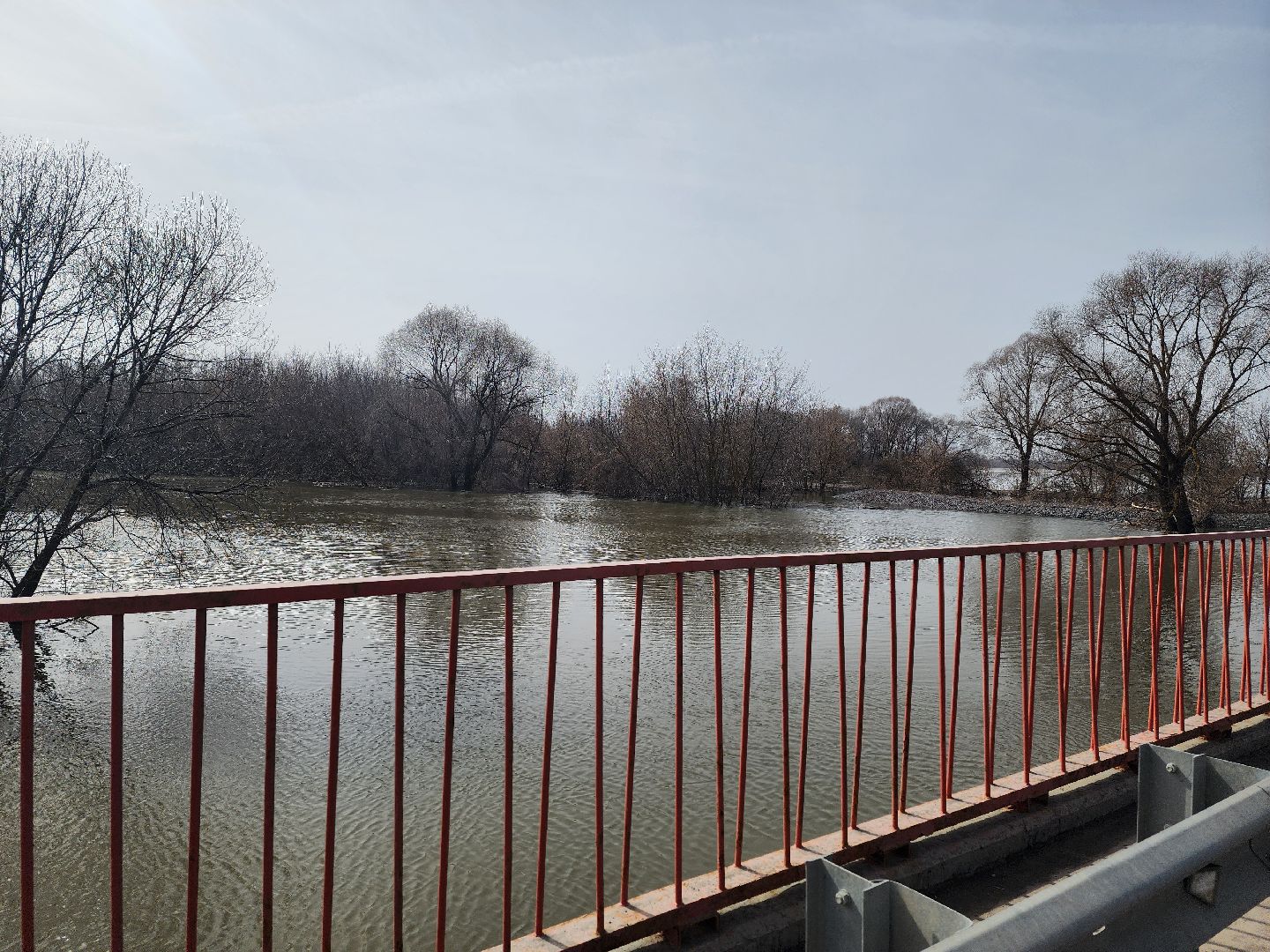 воскресенск, дороги, подтопления, перекрытие,